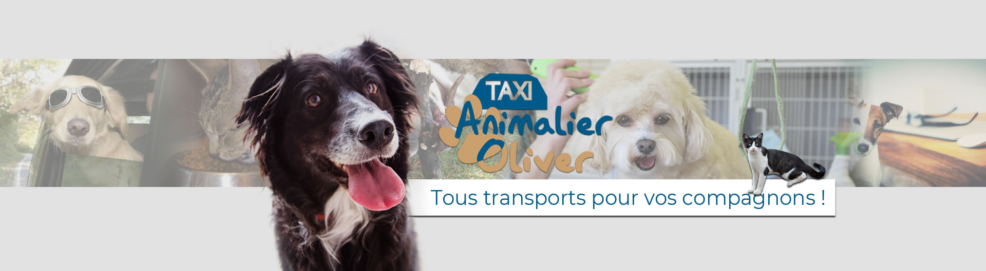 Taxi Animalier Nancy