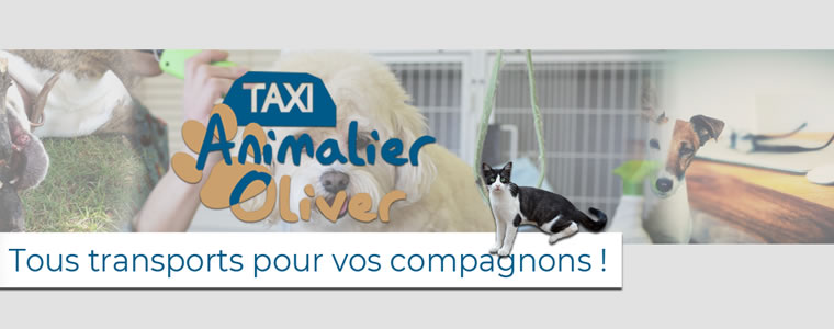 Taxi Animalier Nancy